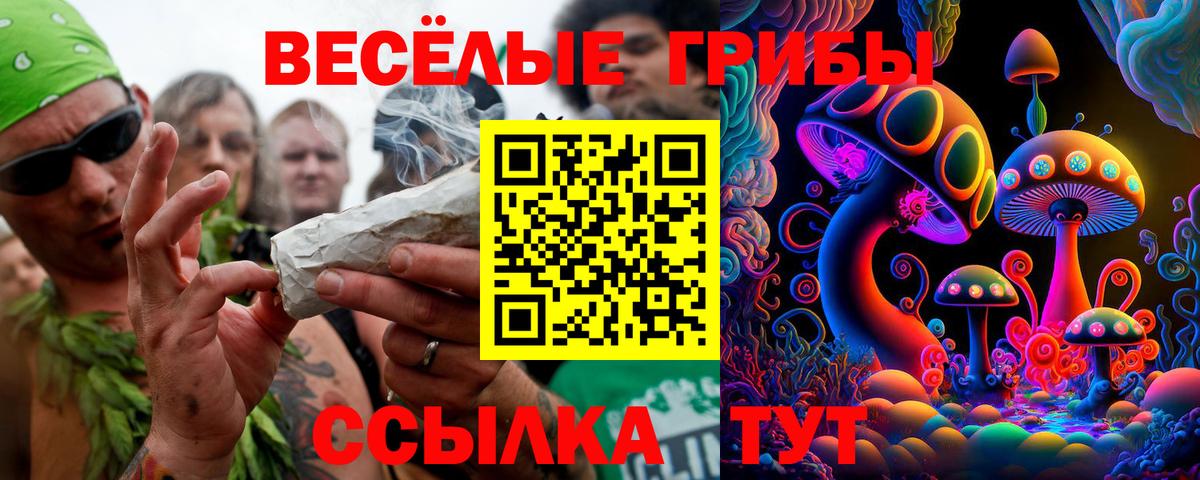 наркота  Псилоцибиновые грибы мицелий  Вход с VPN  Янаул 