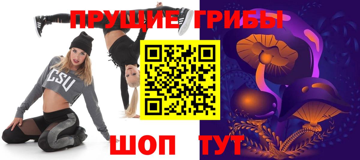 Галлюциногенные грибы Psilocybe Янаул